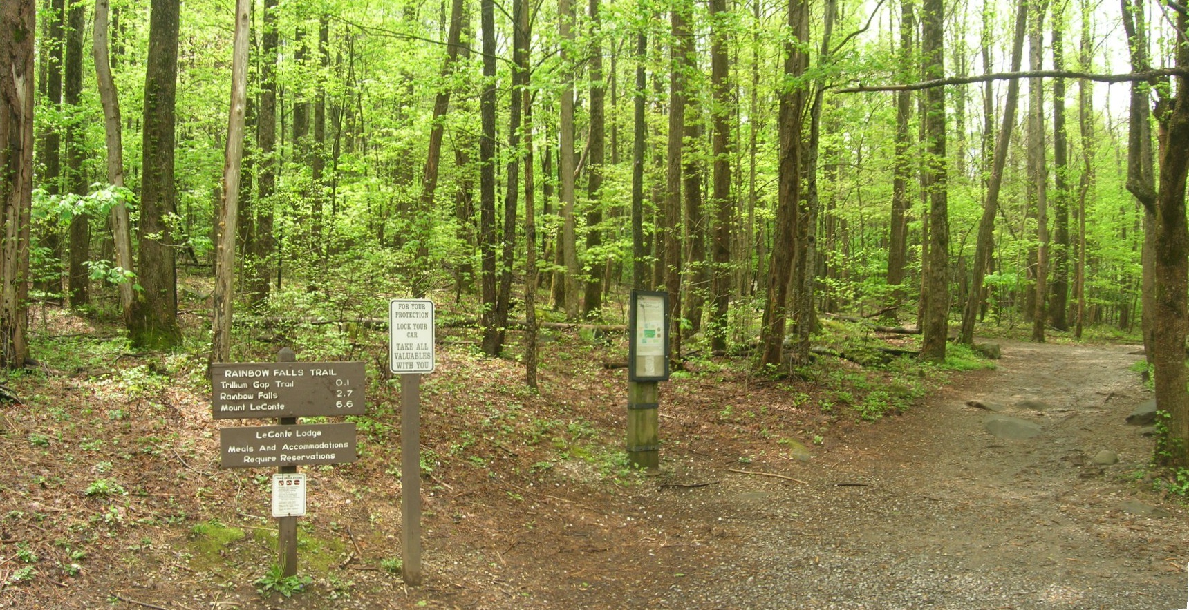 Rainbow Falls trail through the forest with hikers approaching